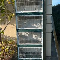 Gabbia batteria da cova