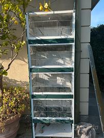 Gabbia batteria da cova