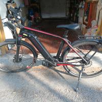 Bicicletta elettrica