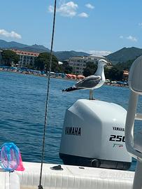 Fuoribordo Yamaha 250