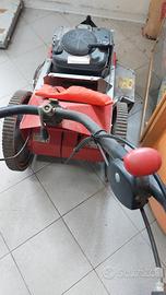 tagliaerba Rotofalce Benassi