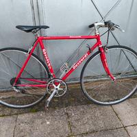 Daccordi vintage misura 50 