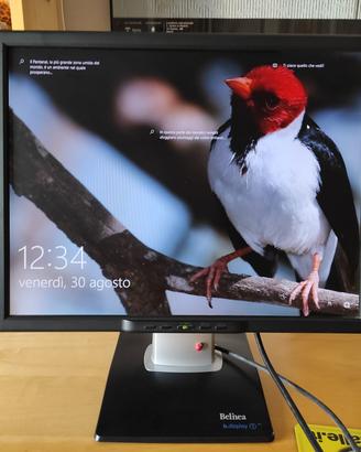 Belinea monitor 