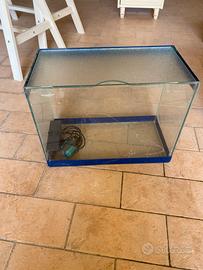 Acquario in vetro