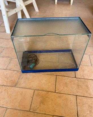 Acquario in vetro
