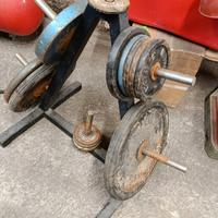 Pesi in ghisa palestra