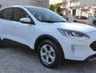 Ford Kuga 1.5 EcoBlue 120 CV aut. 2WD Titanium Bus