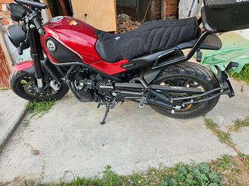 Benelli Leoncino 500 - 2024