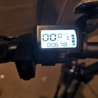 Bici elettrica pieghevole