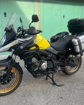 Suzuky v strom 650