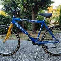 bicicletta Mountain-bike 