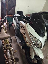 Tmax 500