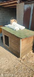 cuccia per cane