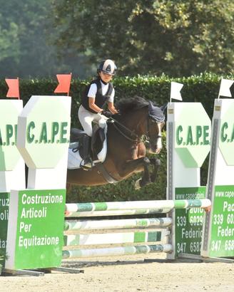 Pony classe B