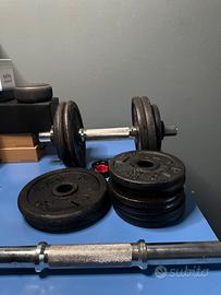 Set manubri Domyos ghisa