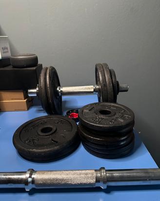 Set manubri Domyos ghisa