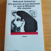 Una giornata di Ivan Denisovic  la casa di Matrjon