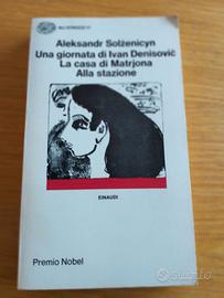 Una giornata di Ivan Denisovic  la casa di Matrjon