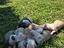 Immagine 2