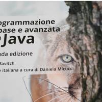 Programmazione di base e avanzata con Java. Ediz.