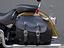 Immagine 20