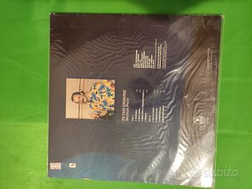 Disco LP "Motion poet" di Peter Erskine