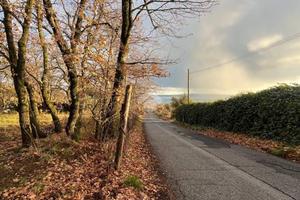 TER. RESIDENZIALE A TREVIGNANO ROMANO