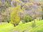 Immagine 18