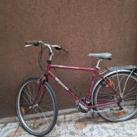 Bici bianchi [ spillo in alluminium ]