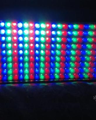 Proel flash led strobe led (luci led disco)