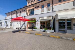 ATTIVITÀ A ASOLA
