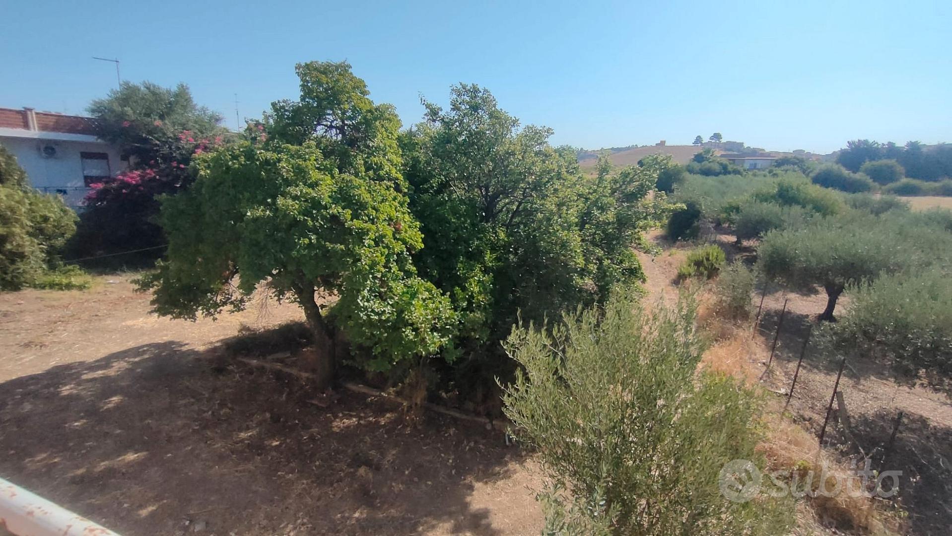 Via Cavaleri Magazzeni Terreno 1000Mq+Casa 100Mq - Vista 3