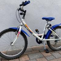 Mountain bike BOTTECCHIA