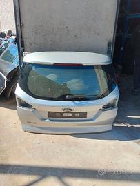 PORTELLONE COFANO POSTERIORE FORD FOCUS 11-18