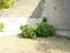 Immagine 14