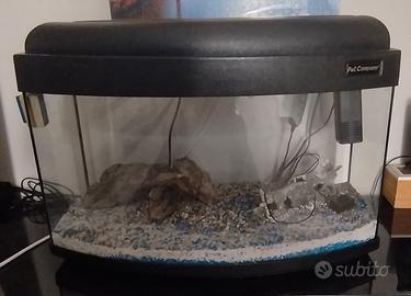 Acquario Pet Company