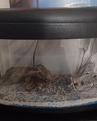 Acquario Pet Company