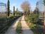 Immagine 30