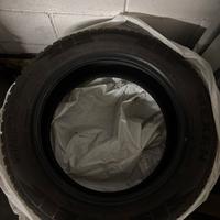 Gomme invernali Nexen