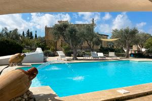 Bungalow con piscina - Disponibile dal 31 Agosto