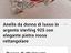 Immagine 6