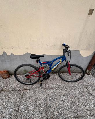 Bicicletta mountainbike