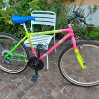Bicicletta mtb Carraro Grizzly - ruote misura 26"
