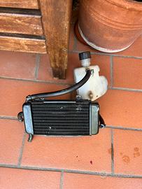 vaschetta e radiatore zip sp mk1