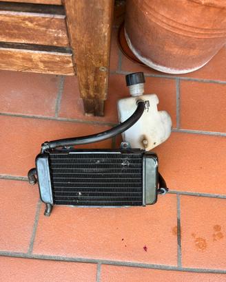 vaschetta e radiatore zip sp mk1