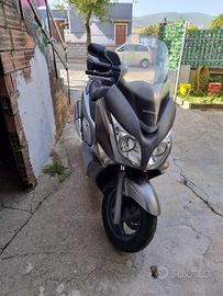 Honda motor del 2009