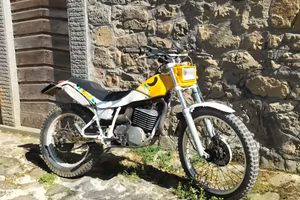 Trial 250