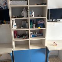 Libreria/scaffali