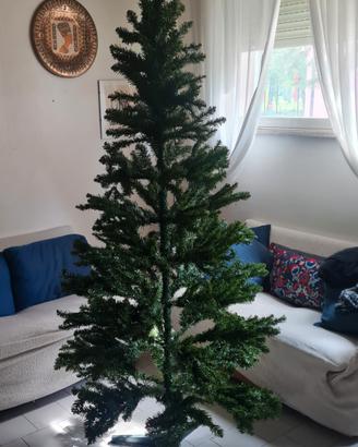 Albero di Natale 