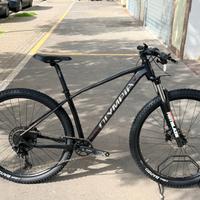 MTB 29 Olimpya Drake Forcella RST Blaze Sram SX 12